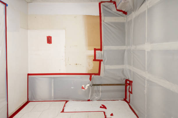 Best Emergency Mold Remediation  in Oak Creek, WI