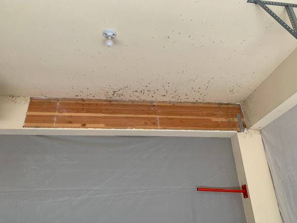 Best Mold Documentation for Insurance Claims  in Oak Creek, WI